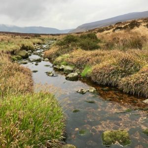 Ireland's Ancient East - Wicklow Way