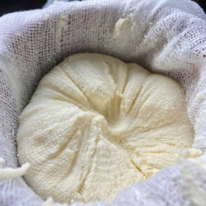 Cheesemaking Essentials (muslin, calcium lactate & digital probe)