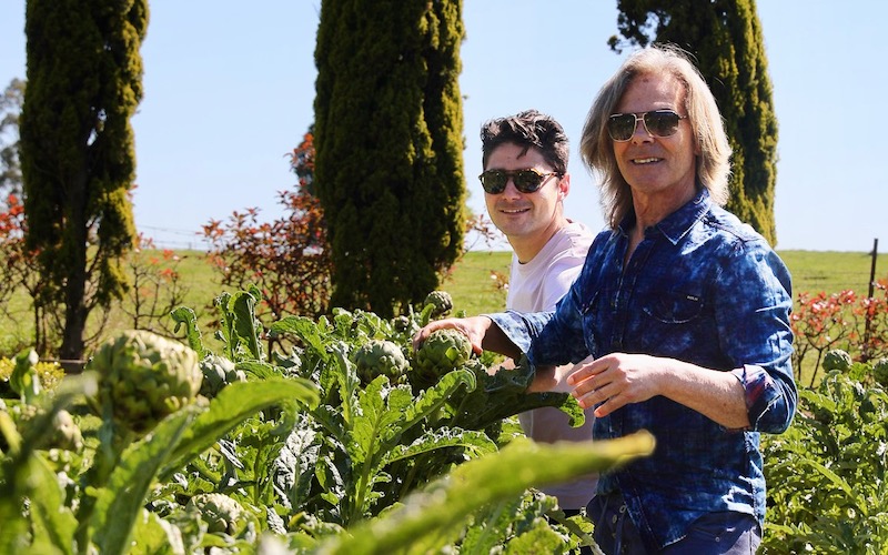 Chris & Julian Parisi picking artichokes
