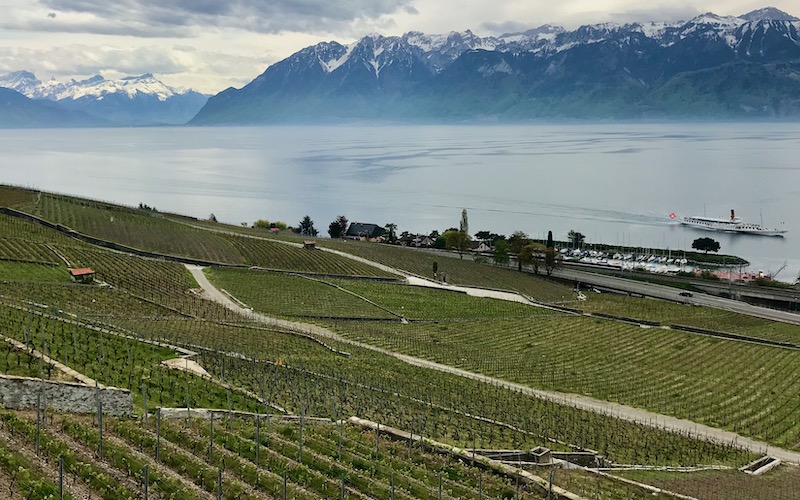 Riex - Lake Geneva Vineyards - Vines