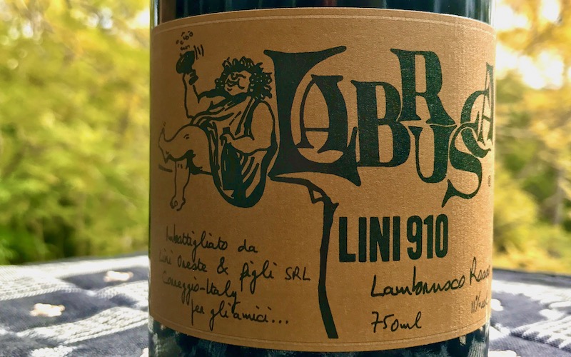 Best Italian Sparkling Wines - Lambrusco Lini 910