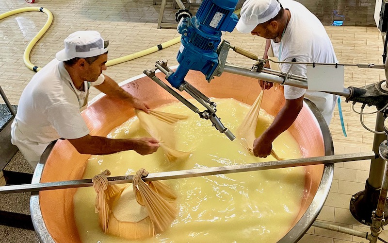 Northern Italian Cheeses - Parmigiano-Reggiano being made in a large copper vat by 2 men