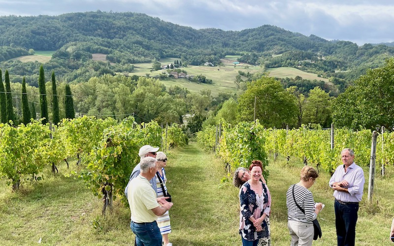 View of distant hills and guests in vineyard with wine maker Alberto at Podere Pradarolo - Parma Food Tour