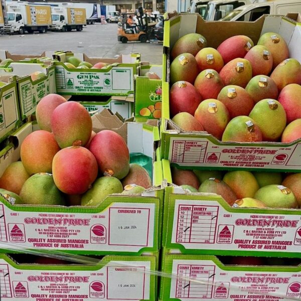 Mangoes - Parisi Sydney produce Market Tour