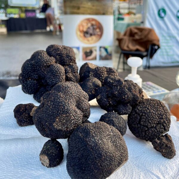 Black truffles at Truffle Hunting Weekend