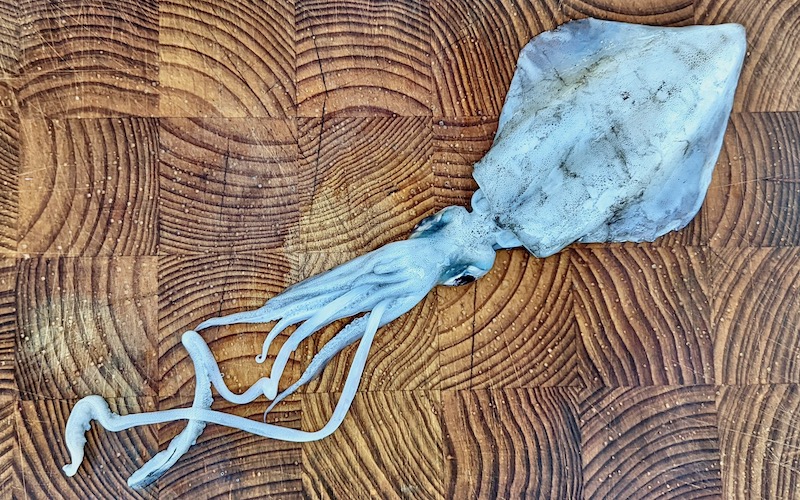 How To Clean Squid and Calamari
