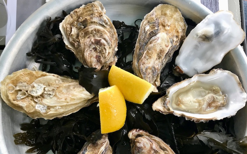 Brittany Regional Guide (Bretagne) - Oysters