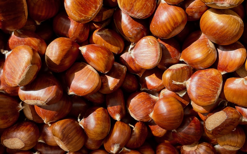 Sydney's Best Providores - Frank's Fruit Market Haberfield - Chestnuts