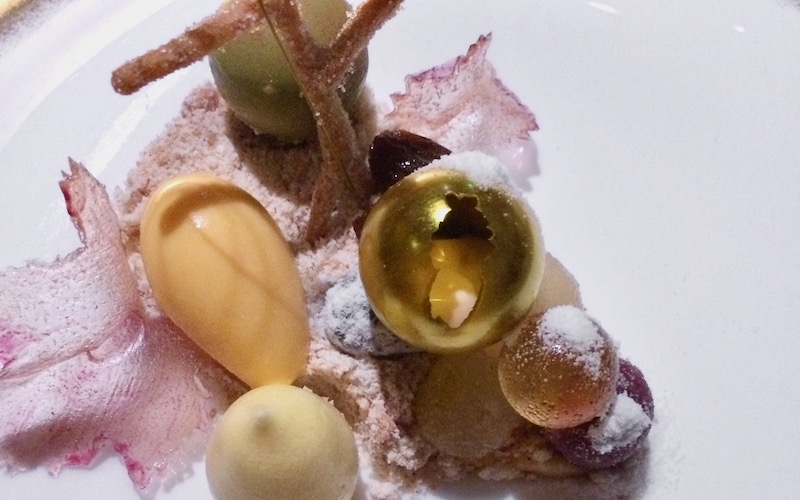 Best Dishes From Around The World 2016 - Botrytis Dessert - The Fat Duck