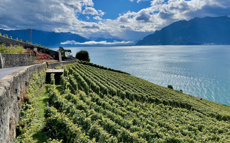 Lake Geneva Food & Wine Tour - Lavaux Vineyards - HERO