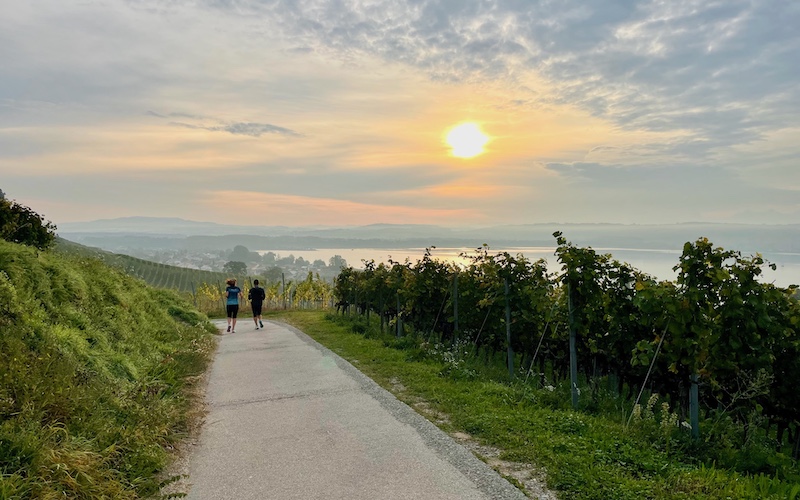 Lake Murten Switzerland - Mont-Vully Food & Wine Tour - Vineyard Walk