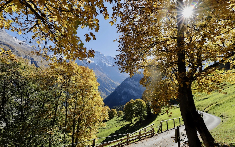 Schilthorn Alpine experience - Hiking