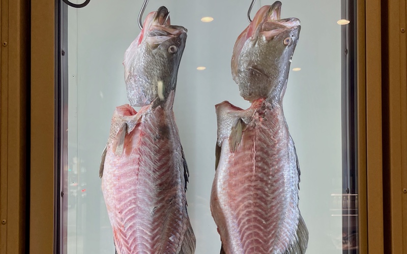 Sydney's Best Providores - Uncut Seafood Bondi - fish ageing cabinet