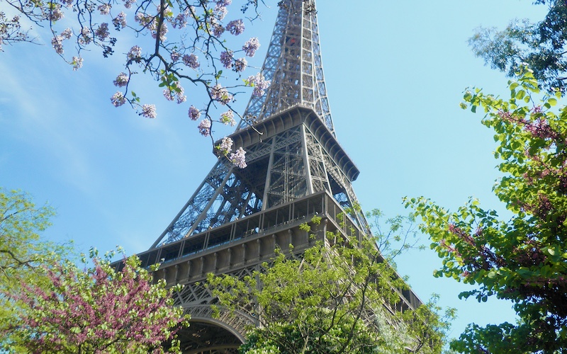 Paris for Food Lovers - Eiffel Tower