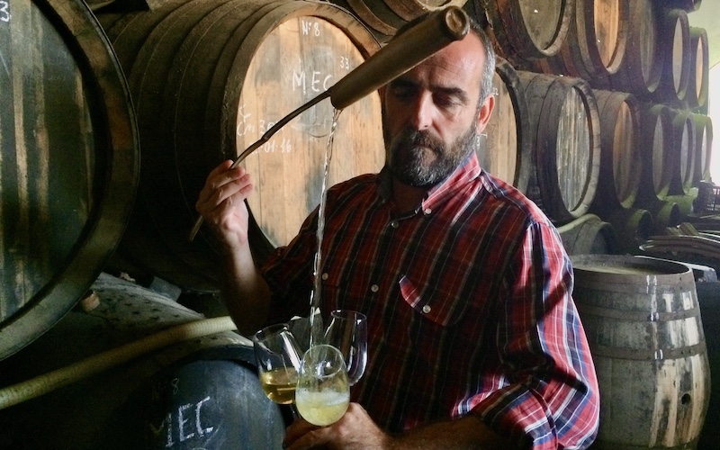 Sherry styles - Manzanilla (Salvador Real pours wine at Delgado Zuleta in Sanlucar de Barrameda)