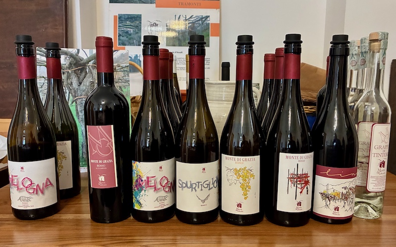 Monte di Grazia wines in Tramonti (Amalfi Coast)