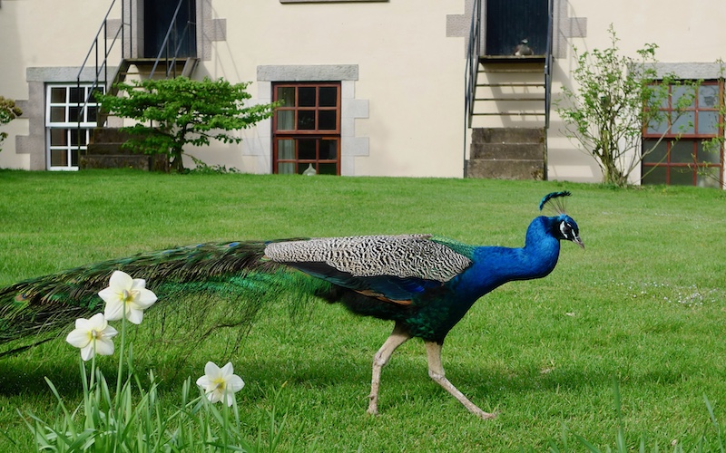 Special Places To Stay In The British Isles - Blessingbourne Estate - Northern Ireland