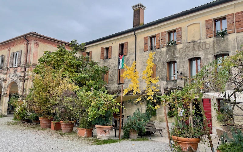 Venice in Context: Cantina Mediterraneo