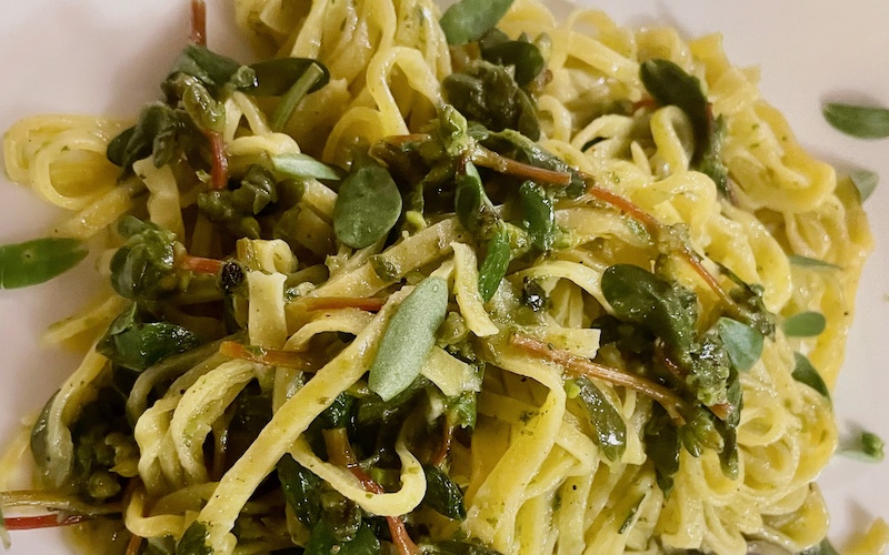 Best Dishes From Around The World 2025 - Purslane Pesto - Lazaroun (Santarcangelo)