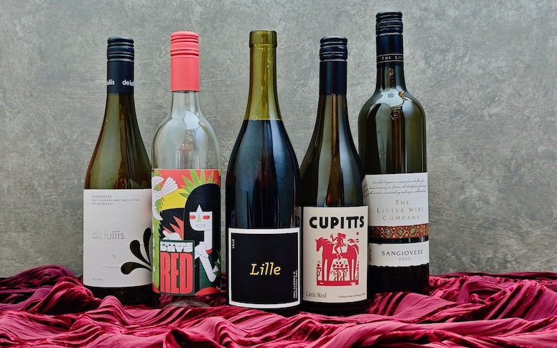 Best Chilled Red Wines Group Image