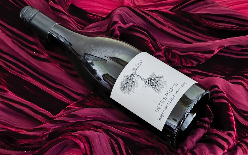 Best Chilled Red Wines - Intrepidus Sangiovese Shiraz