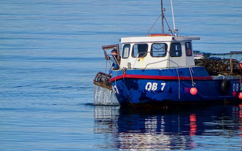 Fishing Boat with Creel - Oban Scottish Food Tour: Seafood & Spirits Scotland