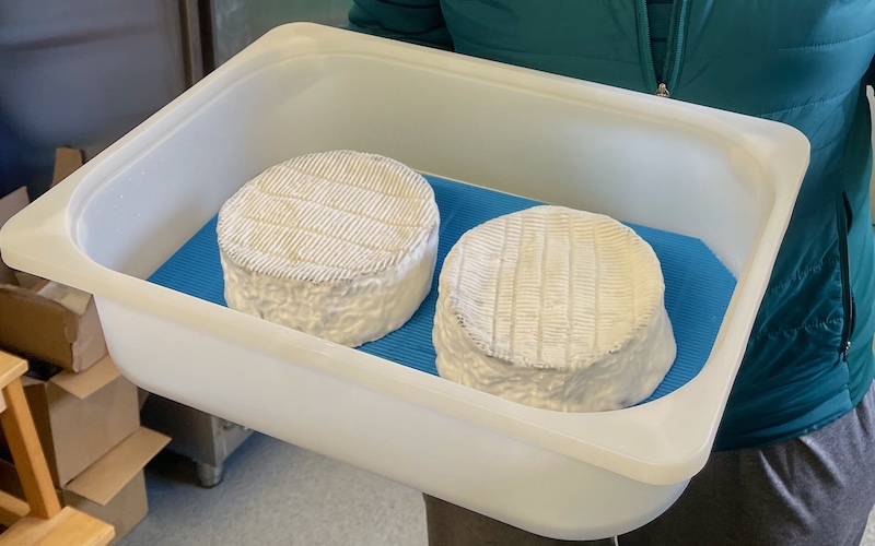 Perthshire Gateway to the Scottish Highlands - Drumturk Cheese