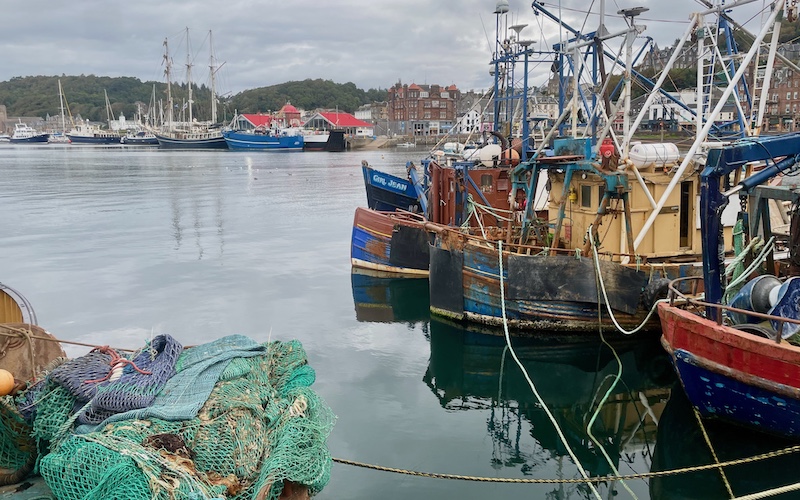Scotland's Best West Coast Seafood (Argyll West Highlands - Fishing Boats in Oban Harbour HERO