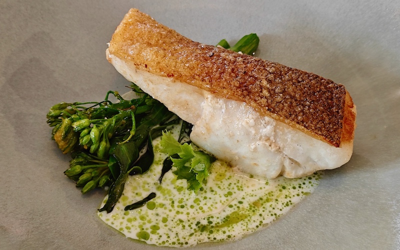 Best Dishes in Sydney 2026 - Megalong Lot 101 - Murray Cod with skin like cracking