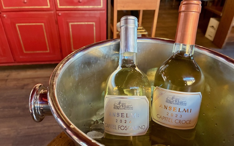 Top Wine Regions in Veneto - Anselmi PIWI Wines