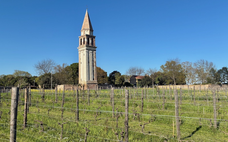 Top Wine Regions in Veneto - Venetian Lagoon - Venissa on Mazzorbo