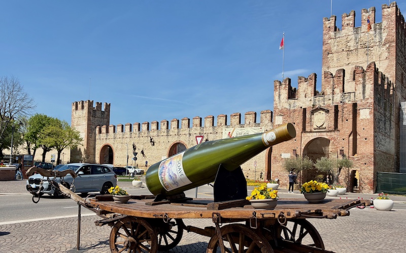 Top Wine Regions in Veneto - Soave - HERO