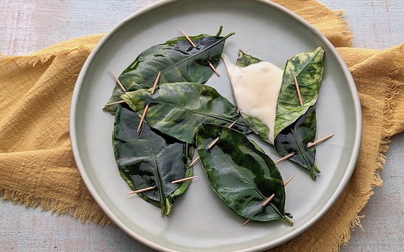 Mozzarella Grilled in Lemon Leaves