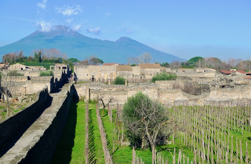 Pompeii Vineyards in front of Mount Vesuvius - Campania Food Lovers’ Guide