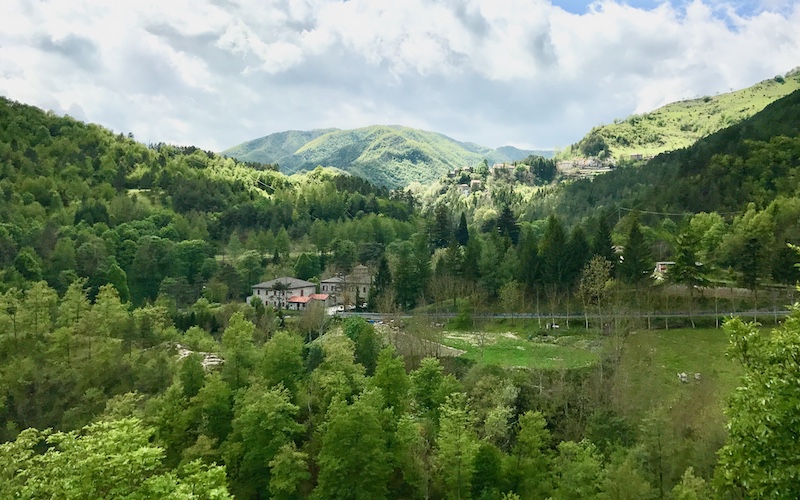 Scenic view of hills and trees from Muraglione Pass – drive from Florence to Romagna