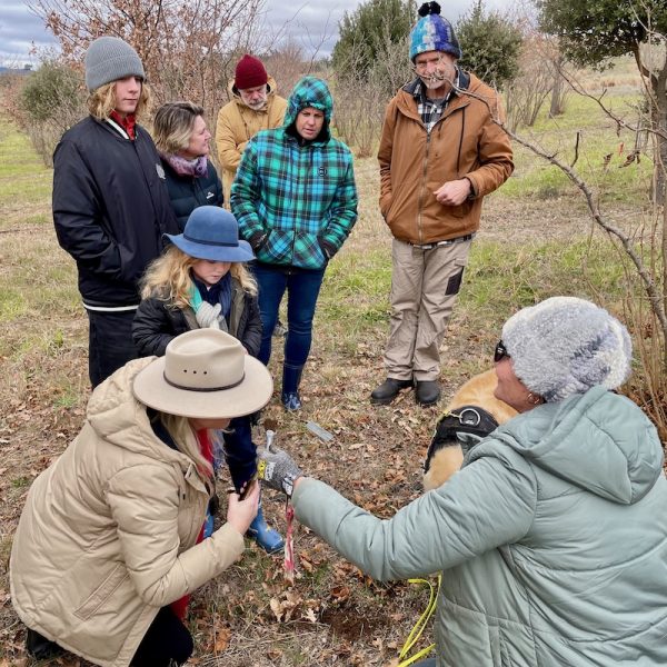 Truffle Hunting Weekend - digging for truffles
