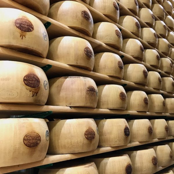 Parma Food Tour – Rows of cheese at Parmigiano-Reggiano Dairy – Italian Food & Wine Tour Emilia-Romagna NOT USED
