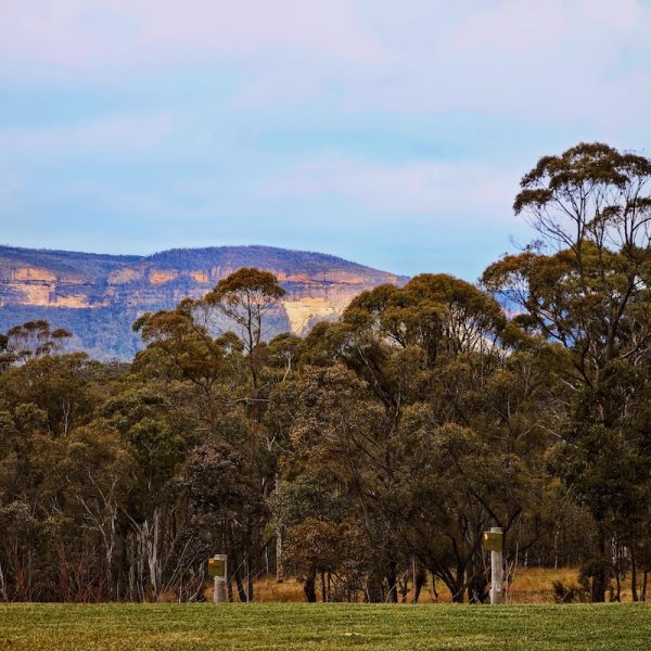 Megalong Valley - Truffle Hunt Food & Wine Weekend