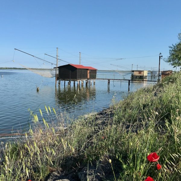 Po Delta in Northern Italy looking over water with grrenery & red flowers in foreground, traditioanl fishermen's huts in the background. Italian Food & Wine Tour, Emilia-Romagna