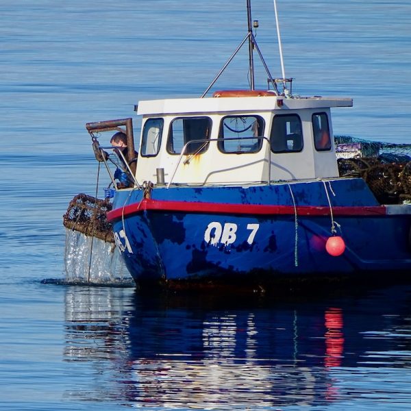 Fishing Boat with Creel - Oban Scottish Food Tour: Seafood & Spirits Scotland - square