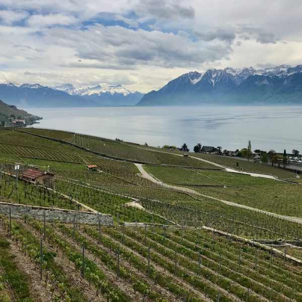 Vaud vineyards – Lake Geneva