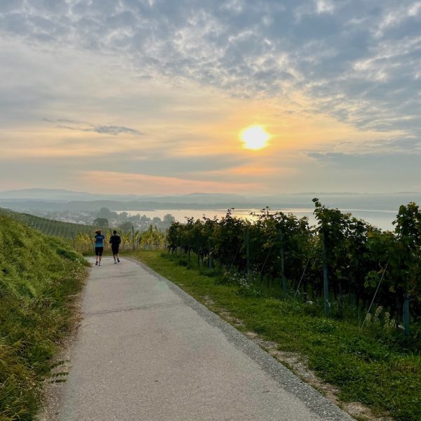 Swiss Food & Wine Tour - Vineyard Walk Mont Vully - Lake Murten Switzerland