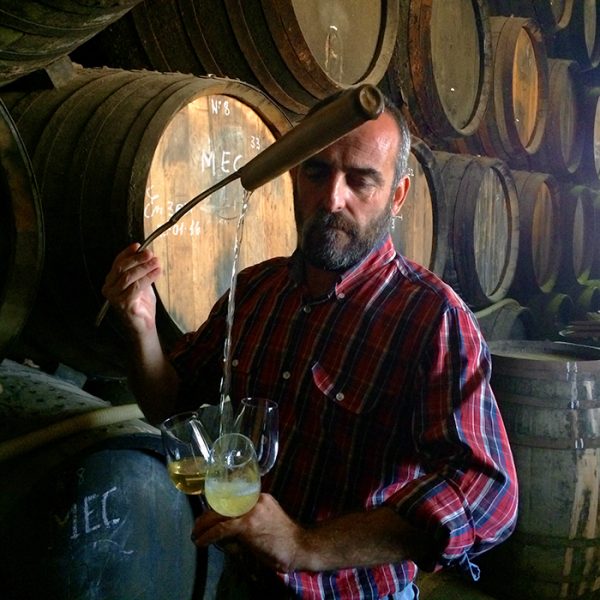 Wine-Sherry-Manzanilla-Salvador-Real-at-Delgado-Zuleta-Sanlucar-de-Barrameda - Roberta Muir (Home Page)